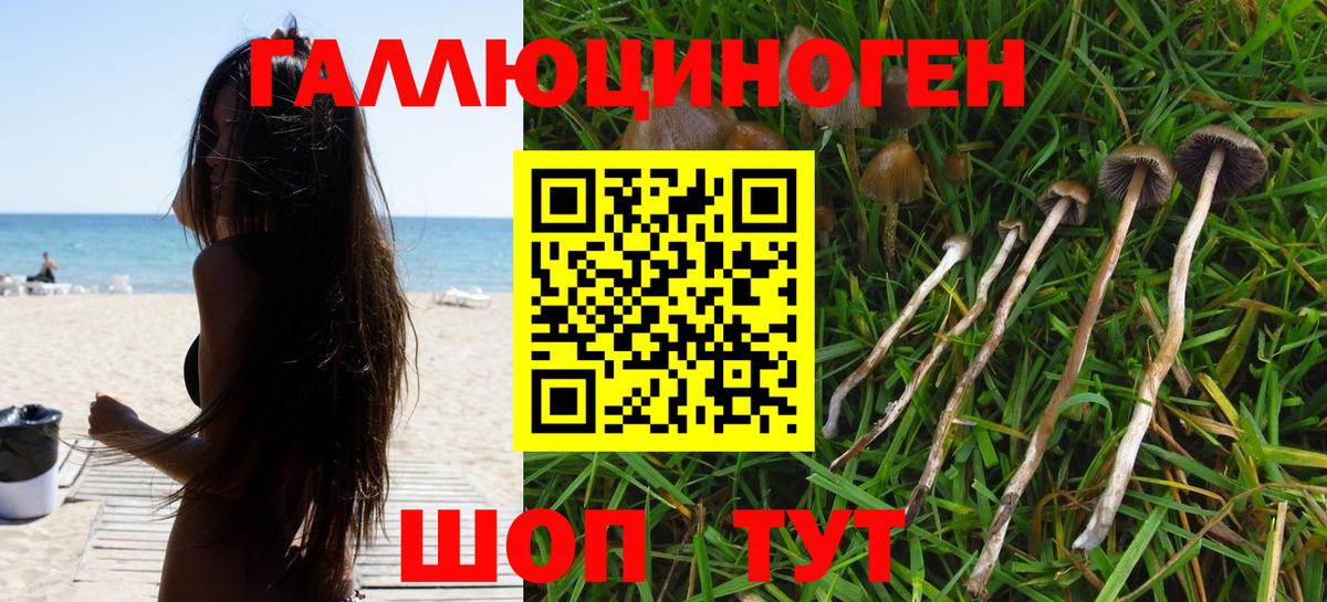 Миллерово  Псилоцибиновые грибы MAGIC MUSHROOMS  Вход с VPN 