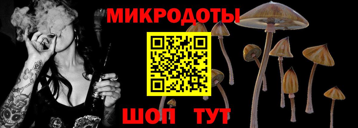Псилоцибиновые грибы Psilocybe Миллерово